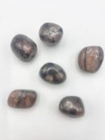 A group of TUMBLED CHIASTOLITE stones on a white surface.