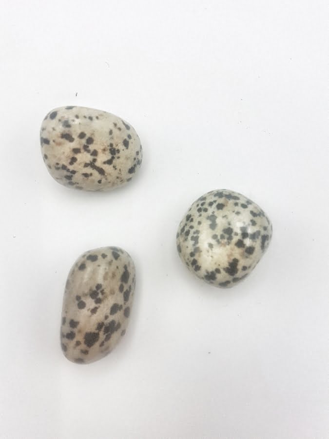 Diaspro dalmata burattato amuleto