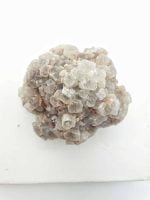 A small bunch of ARAGONITE ROSETTES on a white background.