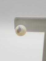 Mother-of-pearl earrings 8 mm in silver with white pearl.