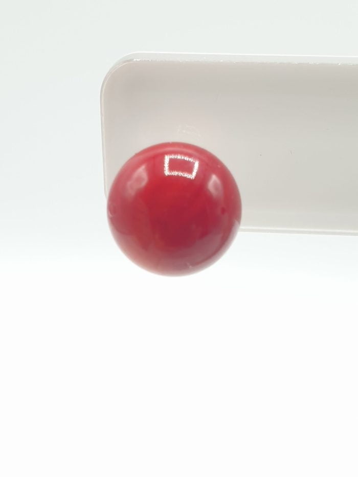 ORECCHINI IN CORALLO BAMBOO ROSSI su piatto bianco.