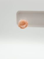 A PINK CORAL EARRINGS IN THE SHAPE OF A SILVER FLOWER rests on a portable téléphone.