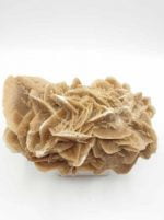Un pezzo di ROSA DEL DESERTO MAROCCO fungo su uno sfondo bianco.
