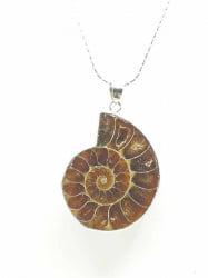 Ciondolo pendente di CIONDOLO PENDENTE DI AMMONITE su catena d'argento.