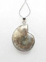 AN AMMONITE PENDANT on a silver chain.