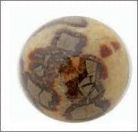 A SFERA DI SEPTARIA on a white background.