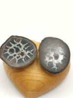 Two pieces of SLICED SEPTARIA placed on top of a wooden heart.