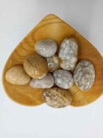 Crisantemo Corallo Fossile Burattato in coppa a forma di cuore.