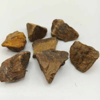 A group of pieces of NATURAL RAW GOLDEN TIGER'S EYE wood on a white surface, showing a raw natural aesthetic.