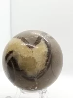 sfera septaria